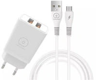 Зарядний пристрій WUW T55 3.1A White with AM / MicroUSB (6972573333974)