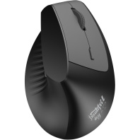 Миша Ajazz i300 Black (i300-B)