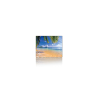 Килимок для мишки Voltronic Tropical Palm (YT-CAT7)