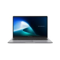 Ноутбук ASUS ExpertBook P1 P1503CVA-S72821 (90NX0881-M037R0) Ноутбук ASUS ExpertBook P1 P1503CVA-S72821 (90NX0881-M037R0)