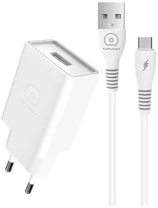 Зарядний пристрій WUW T82 White with AM / MicroUSB (6972573336388)