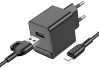 Зарядний пристрій BOROFONE BAS11A Erudite 2.1A Black with AM / Lightning (6941991104619)