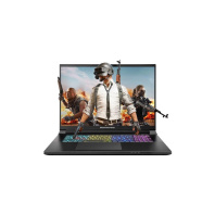 Ноутбук Dream Machines RX5080-18 (RX5080-18UA30) Ноутбук Dream Machines RX5080-18 (RX5080-18UA30)