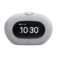 Акустична система JBL Horizon 3 Grey (JBLHORIZON3GRYEP)