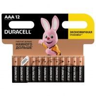Батарейка Duracell AAA лужні 12 шт. в упаковці (5000394109254 / 81545432)