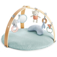 Дитячий килимок Ingenuity Cozy Spot (12126) Дитячий килимок Ingenuity Cozy Spot (12126)