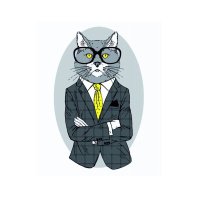 Картина по номерам Rosa Start Fashion Cat 35 х 45 см (N00013266) (4823098514275)