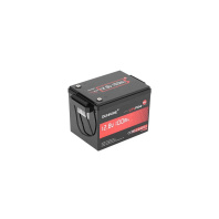 Батарея LiFePo4 Dumfume 12,8V 100Ah 1280Wh (Dum-12,8V/100Ah-MINI MAX)