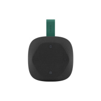 Акустична система Canyon HEXAGON 10 Black/Green (CNE-CBTSP10BG)