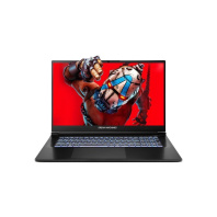 Ноутбук Dream Machines RX5070Ti-17 (RX5070Ti-17UA21) Ноутбук Dream Machines RX5070Ti-17 (RX5070Ti-17UA21)