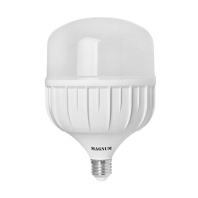 Лампочка MAGNUM BL 80 50w E27 6500K (90015673) Лампочка MAGNUM BL 80 50w E27 6500K (90015673)