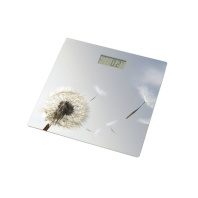 Ваги підлогові Grunhelm BES-BLG