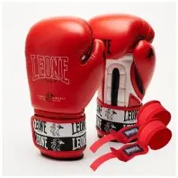 Боксерські рукавички Leone GN208 Iconic Red 14 унцій (GN208_Red_14oz) Боксерські рукавички Leone GN208 Iconic Red 14 унцій (GN208_Red_14oz)