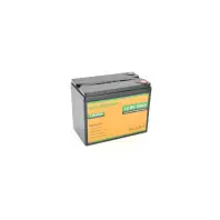Батарея LiFePo4 Dyness 12,8V 50Ah (50/50A) (Eco-Worthy-1250)