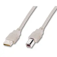 Кабель для принтера USB 2.0 AM/BM 3.0m Digitus (AK-300102-030-E) Кабель для принтера USB 2.0 AM/BM 3.0m Digitus (AK-300102-030-E)