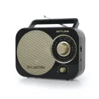 Акустична система Muse M-055 RB Wireless Black (M-055 RB) Акустична система Muse M-055 RB Wireless Black (M-055 RB)
