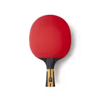 Ракетка для настільного тенісу Butterfly Timo Boll Force FL (6110300002) (931843)