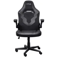 Крісло ігрове Trust GXT703 Riye Black (25128)
