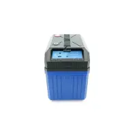 Батарея LiFePo4 Eco-Worthy 12,8V 100Ah, (50/100A) Bluetooth (DC HOUSE-12100B)