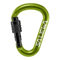 Карабін туристичний Salewa HMS Screw G2 1525 5810 - Med - зелений (013.003.1318)