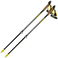 Палиці для скандинавської ходи Vipole Instructor Vario QL Silent DLX (S25 24) (DAS303495)