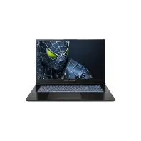 Ноутбук Dream Machines RG5050-17 (RG5050-17UA25) Ноутбук Dream Machines RG5050-17 (RG5050-17UA25)