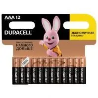 Батарейка Duracell AAA лужні 12 шт. в упаковці (5000394109254 / 81545432)