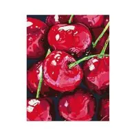 Картина по номерам Rosa Start Натюрморт. Вишні, 35 х 45 см (4823098531470)
