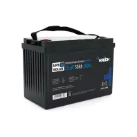 Батарея LiFePo4 Merlion LFP.25.6-50 Батарея LiFePo4 Merlion LFP.25.6-50