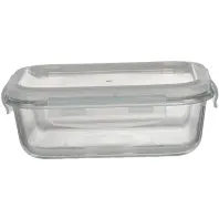 Харчовий контейнер Ecomo Thermo Box прямокутний 620 мл (3RC065-LL)