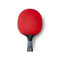 Ракетка для настільного тенісу Butterfly Timo Boll Progress FL (6110200002) (931844)